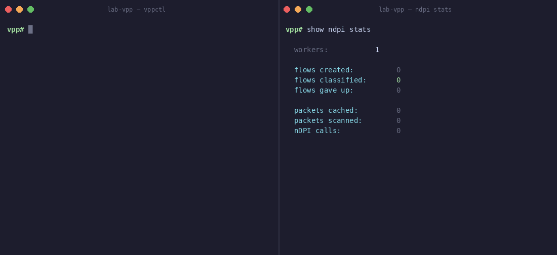 nDPI classification demo — 12 apps appear in show ndpi applications while stats counters tick up live