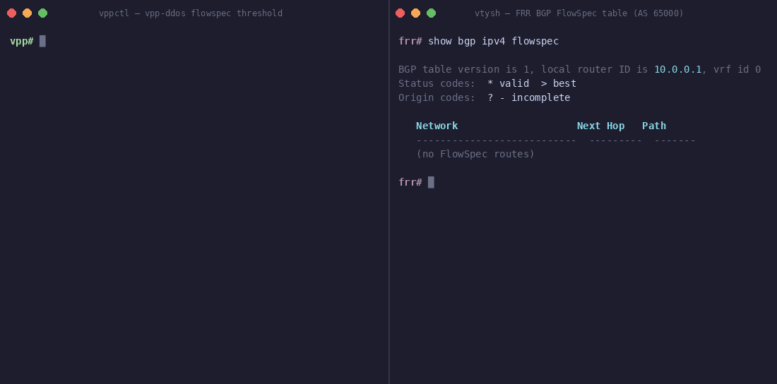 vpp-ddos — flowspec threshold fires, announces sent counter increments, FRR BGP table fills with attacker prefixes (203.0.113.77/32, 198.51.100.42/32) from AS 65001 with drop action