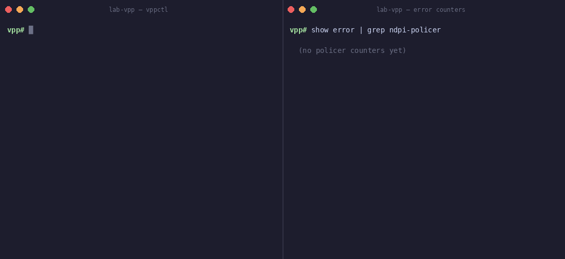 Rate limiting demo — DNS/YouTube/Netflix policers configured; conform/drop/DSCP-mark counters growing live